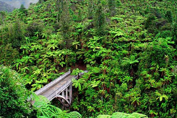 旺格努伊國家公園 Whanganui National Park