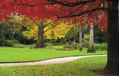 阿爾伯里植物園 Albury Botanic Gardens