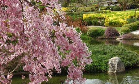 考蘭日本花園 Cowra Japanese Garden