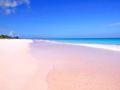 粉色沙灘 Pink Sands Beach