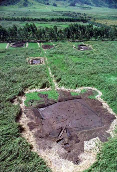 庫科早期農業遺址 Kuk Early Agricultural Site