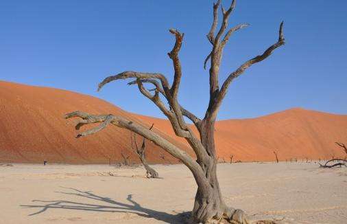 納米布沙海 Namib Sand Sea