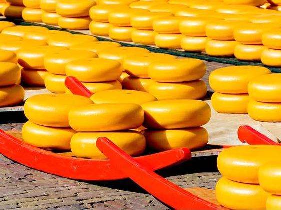 阿克馬乳酪市場 Alkmaar Cheese Market