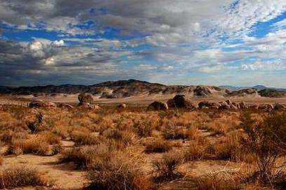 莫哈韋沙漠 Mojave Desert