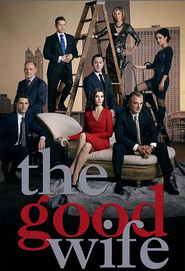 傲骨賢妻 第六季 The Good Wife Season 6