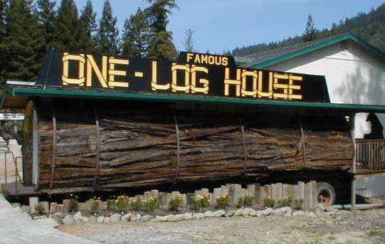 一棵樹小屋 One Log House
