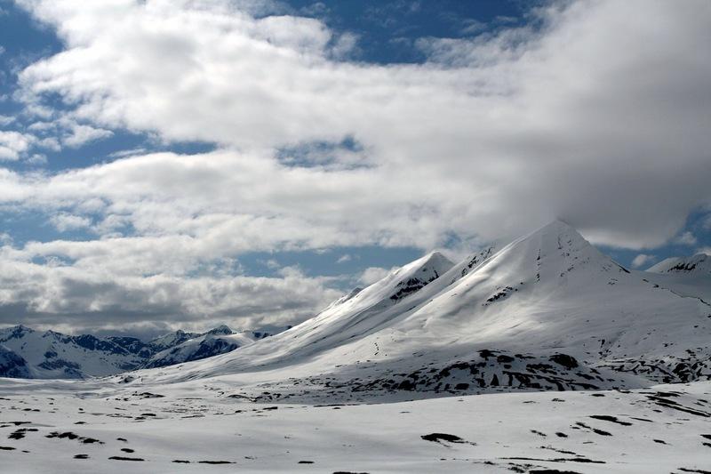 克盧恩蘭格爾-聖伊萊亞斯冰川灣塔琴希尼-阿爾塞克 Kluane  Wrangell-St Elias  Glacier Bay  Tatshenshini-Alsek
