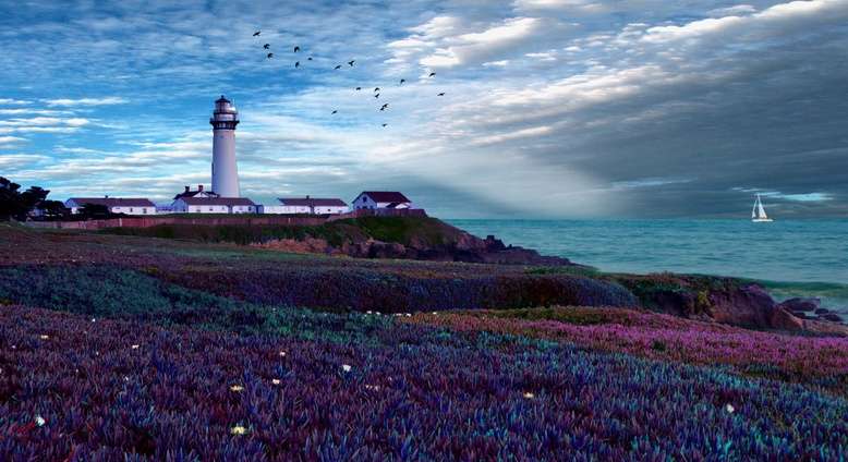 鴿點燈塔 Pigeon Point Lighthouse