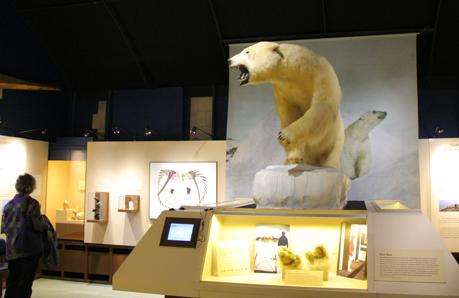 皮裡-麥克米倫北極博物館 Peary–MacMillan Arctic Museum