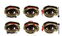 先天性眼球震顫 H55.X01 先天性特發性眼球震顫 先天性遺傳性眼球震顫 先天眼震