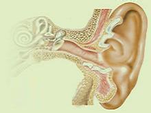 外耳道癤腫 局限性外耳道炎