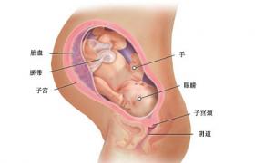 宮外孕 異位妊娠