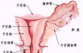 子宮頸殘端癌