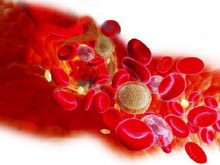 低鈣血癥 E83.502 Hypocalcemia 低血鈣