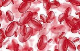 真性紅細胞增多癥 真紅