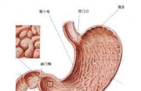 十二指腸潰瘍 K26.901