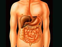 腸易激綜合征 IBS 腸道易激綜合征 應激性結腸綜合征