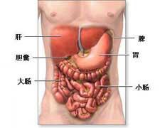 胃腸型食物中毒 A05.952