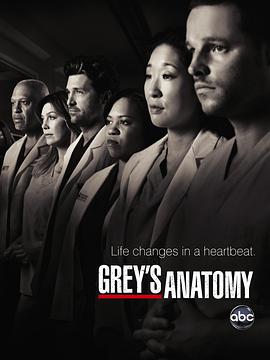 實習醫生格蕾  第七季 Grey's Anatomy Season 7