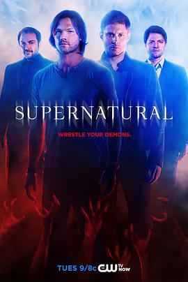 邪惡力量 第十季 Supernatural Season 10