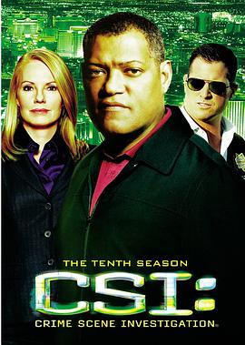 犯罪現場調查 第十季 CSI: Crime Scene Investigation Season 10