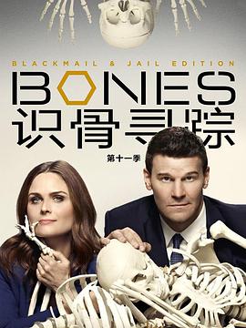 識骨尋蹤 第十一季 Bones Season 11