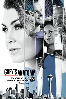 實習醫生格蕾 第十四季 Grey's Anatomy Season 14