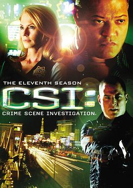 犯罪現場調查 第十一季 CSI: Crime Scene Investigation Season 11