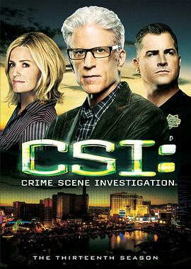 犯罪現場調查 第十三季 CSI: Crime Scene Investigation Season 13