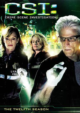 犯罪現場調查 第十二季 CSI: Crime Scene Investigation Season 12