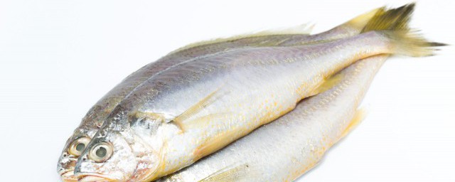 黃立魚怎麼做好吃 黃立魚如何做好吃