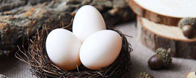 鴿子蛋怎樣吃最有營養 鴿子蛋如何吃最有營養
