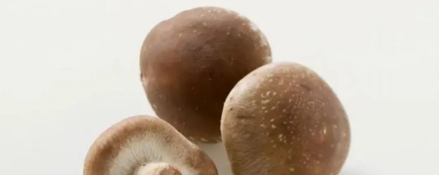 吃瞭發黑的香菇怎樣辦 吃瞭發黑的香菇的解決方法