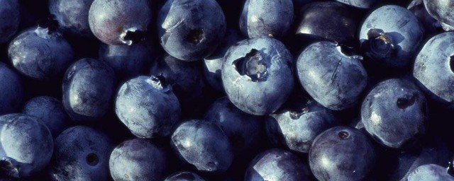 藍莓的作用和食用方法 藍莓的作用和做法