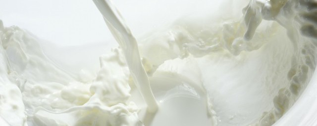 牛奶果凍怎麼做的 牛奶果凍應該是怎麼做的