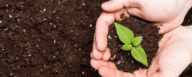 土壤肥料的選擇方法 土壤肥料怎麼選擇