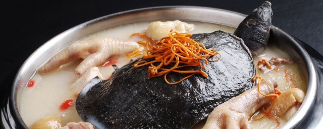 甲魚怎樣做最滋補 最滋補甲魚湯的做法介紹