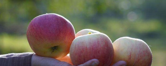 蘋果和核桃能一起吃嗎 蘋果和核桃能不能一起吃