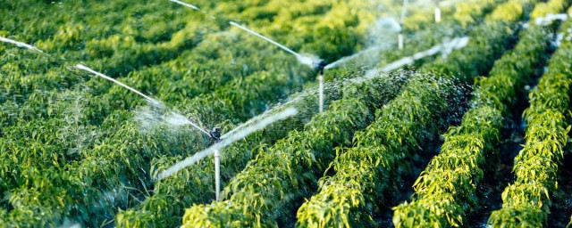 灌溉怎麼讀 灌溉是什麼意思