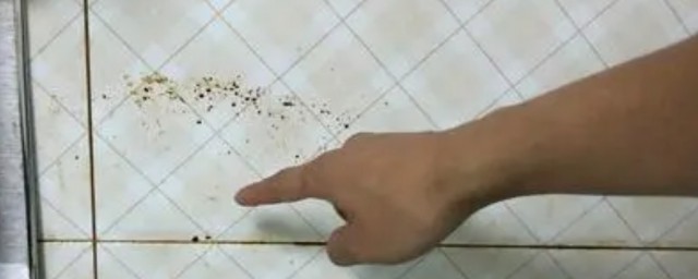 廚房地板磚油污如何去除 廚房地板磚油污去除方法