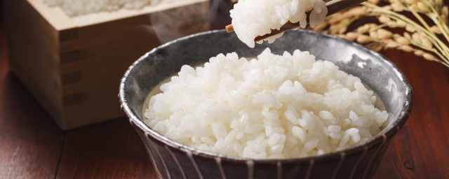 米飯能放冰箱嗎 米飯可以放冰箱