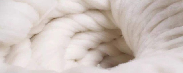 山羊絨和羊絨的區別 山羊絨和羊絨的區別是什麼