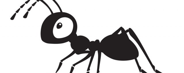 螞蟻的傢叫什麼 螞蟻的傢怎麼稱呼