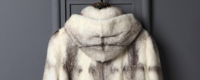 貂皮大衣是什麼動物 貂皮大衣是什麼動物皮