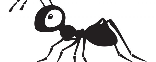 夢到螞蟻的預兆 夢見螞蟻的含義是啥