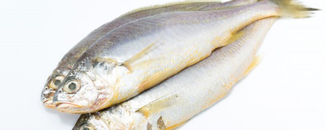怎麼做魚好吃教程 魚怎麼做好吃