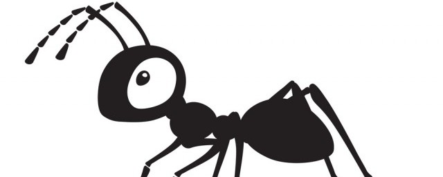 螞蟻有多小 螞蟻的體型介紹