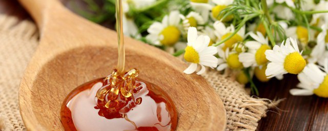 蜂蜜的最佳食用方法 蜂蜜的最佳吃法