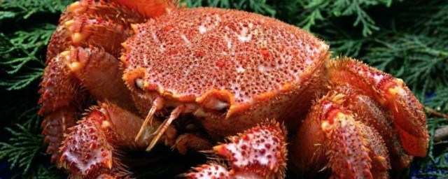 螃蟹鉗上有團毛是什麼螃蟹 螃蟹鉗上有團毛是啥螃蟹