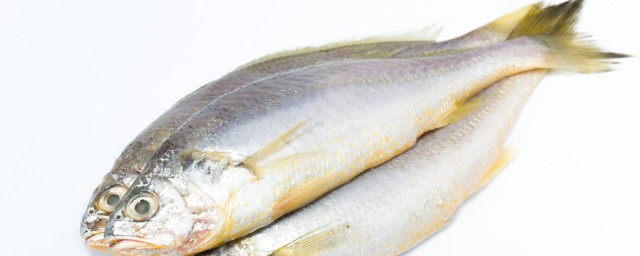 幹燒黃花魚的傢常做法 幹燒黃花魚如何做